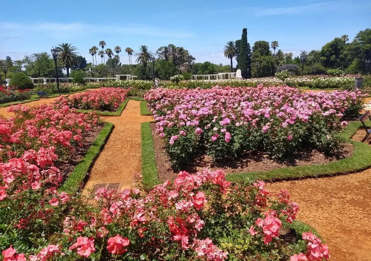 Vista del Rosedal y los Bosques de Palermo en Buenos Aires