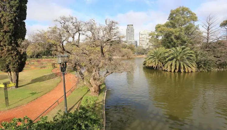 Tarde soleada con extensos parques y lago que pertencen al Lago de Regatas de Palermo