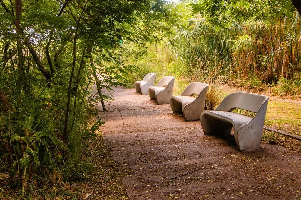 Caminos lindos y con vegetación a sus costados que recorren Reserva Ecológica Costanera Norte