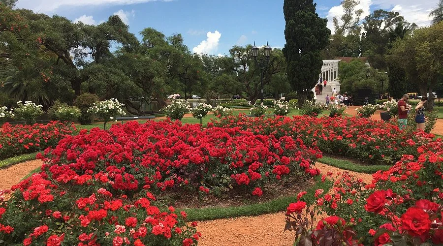 Tarde en el Rosedal de Palermo personas caminan entre las rosas